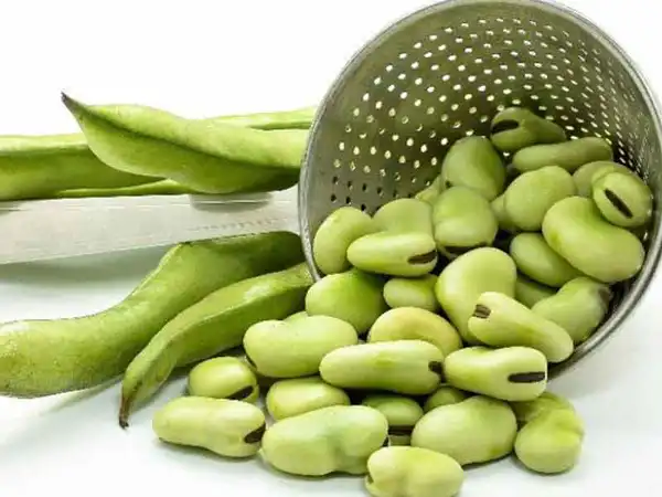 علائم فاویسم + علت و درمان و راههای پیشگیری از آن