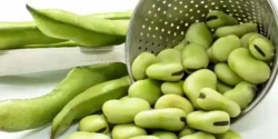 عوارض فاویسم + تشخیص و راههای پیشگیری و درمان آن